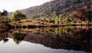 La Dehesa del pueblo  en Cilleros, Sierra de Gata