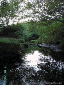 El agua en Descargamaría, Sierra de Gata. agua 