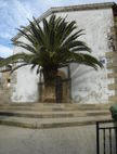 Palmera a la entrada de la Iglesia en Torrecilla de los Ángeles, en Sierra de Gata. Cáceres, Extremadura.
