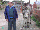 Paisano  en Descargamaría, Sierra de Gata.